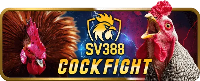 Chính sách chơi có trách nhiệm của 8k834sj